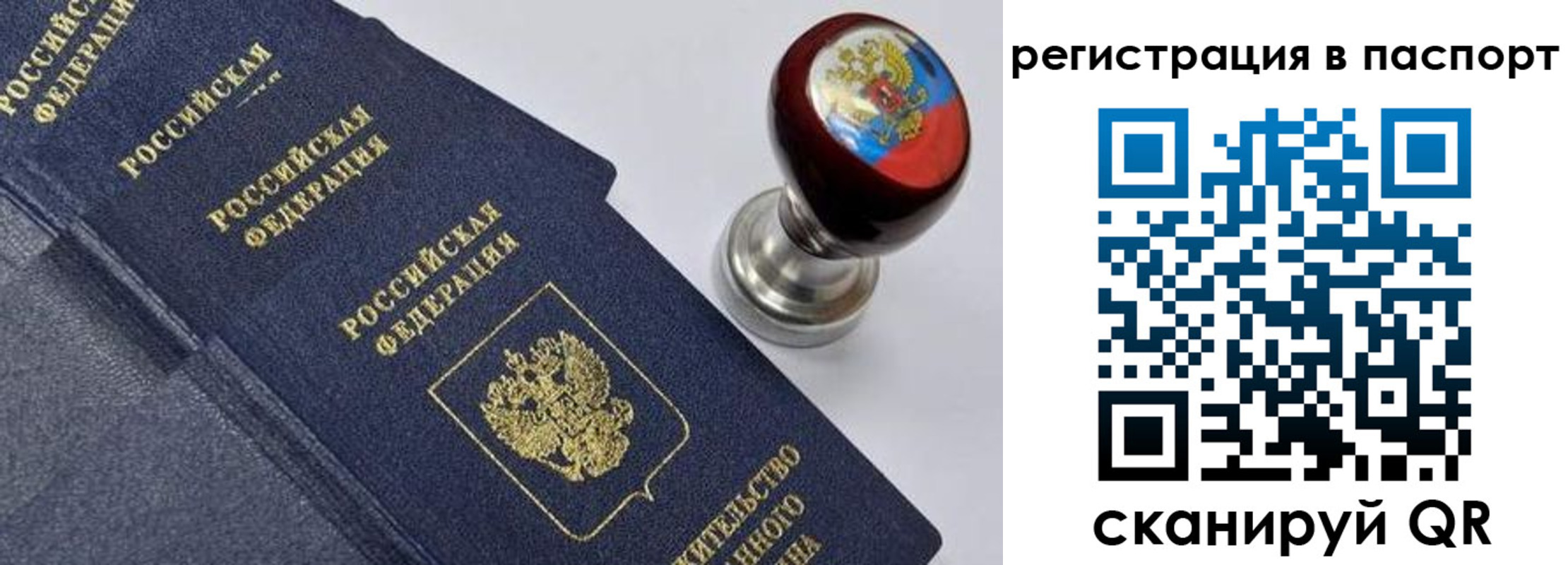 прописка поиск в Гаджиево